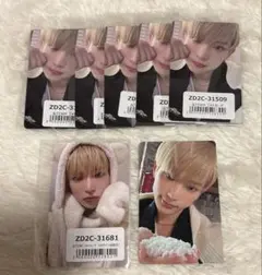 &TEAM 雪明かり ハルア HARUA ふわふわアニマル トレカ セット