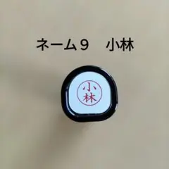 Item thumbnail for item e2d763ce-4150-4880-8cef-6535b105d162