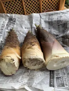 ミロク様専用ページです