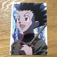 HUNTER×HUNTER ゴン ブロマイド