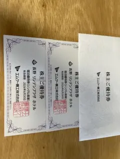 長野 リンデンプラザホテル 株主宿泊優待券 2枚 2026年6月30日まで