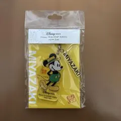 宮崎 ディズニーストア コラボ レア 地域限定