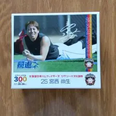 北海道日本ハムファイターズ 宮西尚生投手 ジグソーパズル 300ピース❸のサムネイル