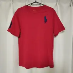 Polo Ralph Lauren レッド 半袖Tシャツ L/G 160cm