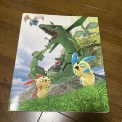 ポケモン レックウザ ピチュー クリアファイル A4