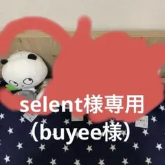 selent様（buyee様）専用ねぎのごきげんぱんだ