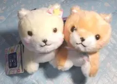 豆しば三兄弟★マスコット★2個セット★美品★