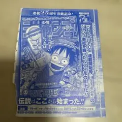 モンキー・D・ルフィ 週刊少年ジャンプ付録6.7特大号　P-033 未開封