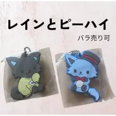 【現品限り】JOCHUM レインとピーハイ