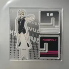 2026年最新】アクリルフィギュアコレクション ハイキュー 第8弾の人気