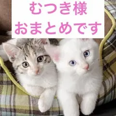 むつき様 リクエスト 2点 まとめ商品