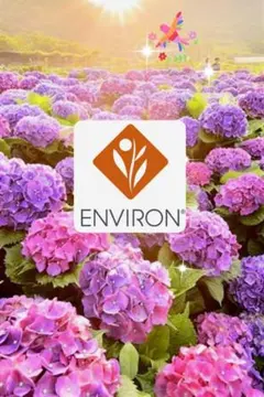 ENVIRON ボディケアシリーズ クリームローション 100ml - メルカリ