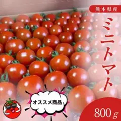 熊本県産ミニトマト（千果）800g - メルカリ