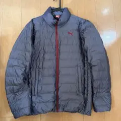 ダウンジャンパープーマ