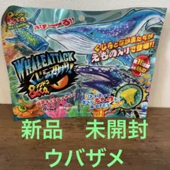 アンドコ　ウバザメ　クジラアタックアンドコ　&Co 新品　未開封