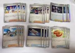 アカマツ、その他たくさん②