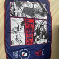 サンフレッチェ広島 フリースポンチョ2枚(非売品) サンフレッチェ広島 オリジナルフリースポンチョ｜Yahoo!フリマ（旧