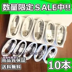 ipad ケーブル 純正 対応 正規品 同等 充電機 10本