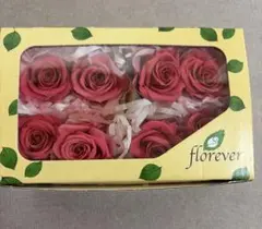 【未使用】florever フロールエバー スタンダードローズステム付 12本 未使用】florever フロールエバー スタンダードローズステム付 12本