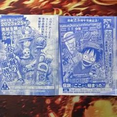 週刊少年ジャンプ 特別限定付録モンキー・D・ルフィ ワンピースカード 2点セット