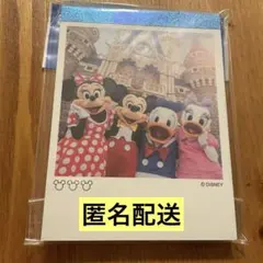 ディズニー メモ 実写 旧フェイス ディズニーリゾート 限定 - メルカリ