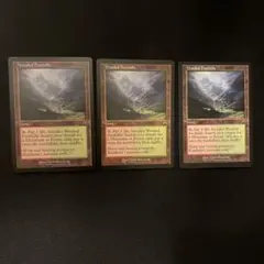 MTG 溢れかえる岸辺 旧枠 英語 2枚セット - メルカリ