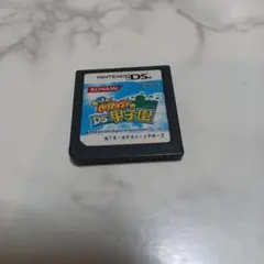 ニンテンドーDS あつまれ!パワプロクンの甲子園