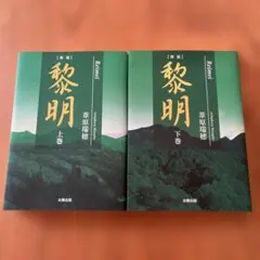黎明 上下巻 新版】黎明 上巻 | 葦原 瑞穂 |本 | 通販 | Amazon