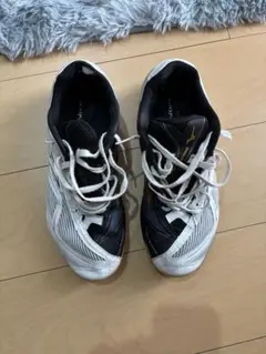 Item thumbnail for item 1e7604d3-5d5e-469b-984a-150c5cf70bb1