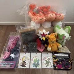 ポケモン　ピカピカボックス2026　ポケモンセンター　福袋　ぬいぐるみ