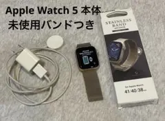 【大幅値下げ】未使用ステンレスバンド付き 中古美品Apple Watch 5
