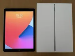 〈状態良好〉iPadPro128GB 12.9インチ WiFi+Cellular