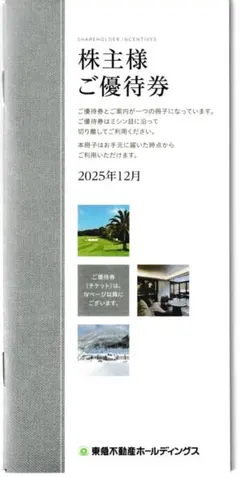 【匿名発送】東急不動産ホールディングス優待券(500株以上1000株未満)　１冊