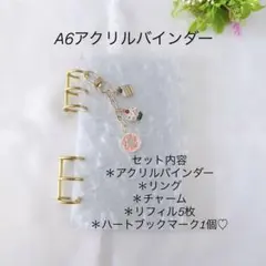 アクリルバインダー♡水流模様 A6韓国 バインダー貯金 saving スイーツ