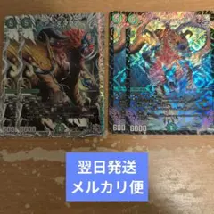 翌日発送 アエヌマクア 銀2枚 通常2枚 計4枚 メルカリ便