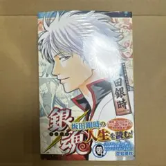 銀魂 キャラクターリミックス 坂田銀時 空知英秋