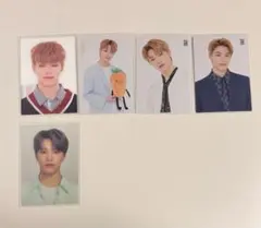 seventeen ディノ トレカ まとめ売り