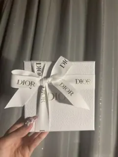 DIOR Clair D Lune ネックレス　シルバー