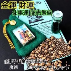 開運 金運 財運 仕事運☆ 商売繁盛 【聖マルティン】お守りメキシコ アムレット