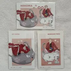 ハイキュー JF2025 ポストカード 灰羽リエーフ 夜久衛輔