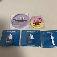 ムーミン　缶バッジ　ピンバッジセット