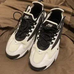 NIKEZOOM 2K/ズーム/ホワイト/AO0269-101/28cm/WHT