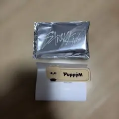 StrayKids 파핌 이름 배지