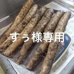 すぅ様専用