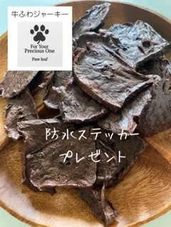 らいおん丸様 リクエスト 2点 まとめ商品