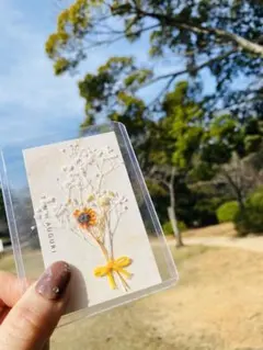 スマホに挟める花束 手のひらサイズの花束 かすみ草 ブリザードフラワー