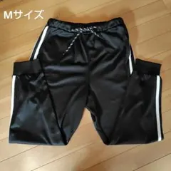 Item thumbnail for item 7f0bd09b-b904-4147-abf6-1332338f2924