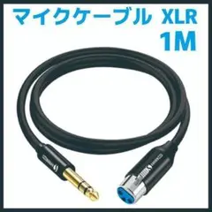 ANNNWZZDマイクケーブル XLR 1M 6.35mm 2本セット メス
