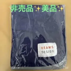非売品✨️レアBEAMS Design 美品✨ひざかけ ブランケット