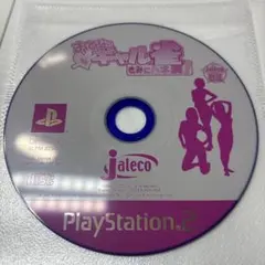 おとなのギャル雀　きみにハネ満！　PS2ソフト